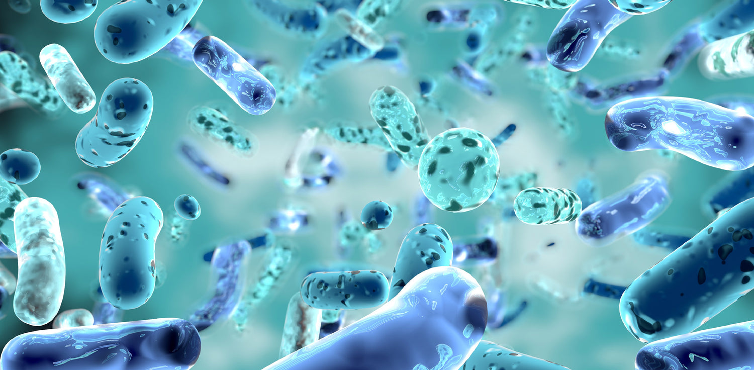 Probiotics - A photo of a probiotic supplement or a container of probiotic-rich food, such as yogurt, kefir, or fermented vegetables. The image may show a close-up of the probiotic product, highlighting the live beneficial bacteria or yeast strains that are known to promote digestive health and overall well-being. 