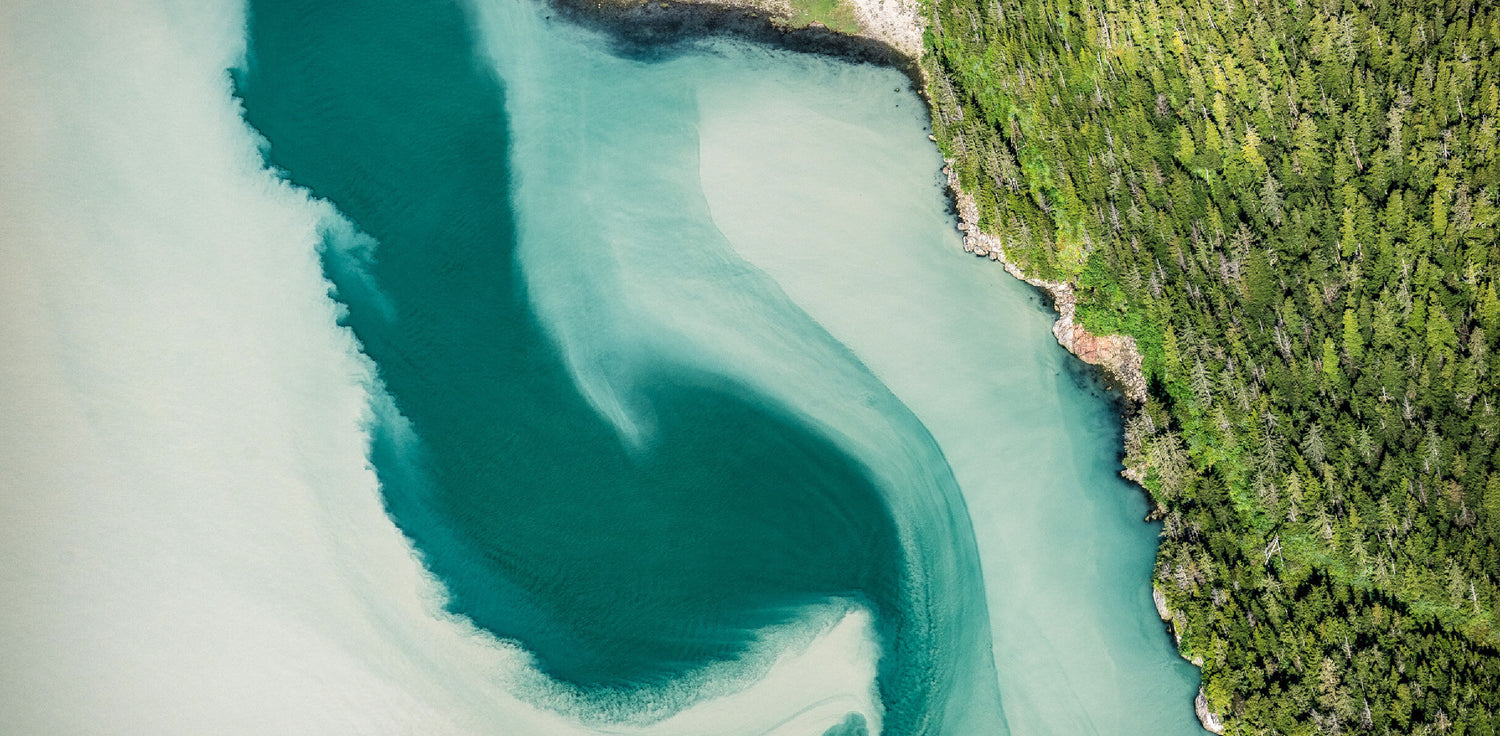 Sea silt - A photo of fine sediment or particles that have settled at the bottom of a sea or ocean, forming a layer of silt. The sea silt may appear as a fine-grained, loose deposit that ranges in color from light brown to dark gray, depending on the composition of the sediment. Sea silt is typically formed through natural processes such as erosion, weathering, and sedimentation