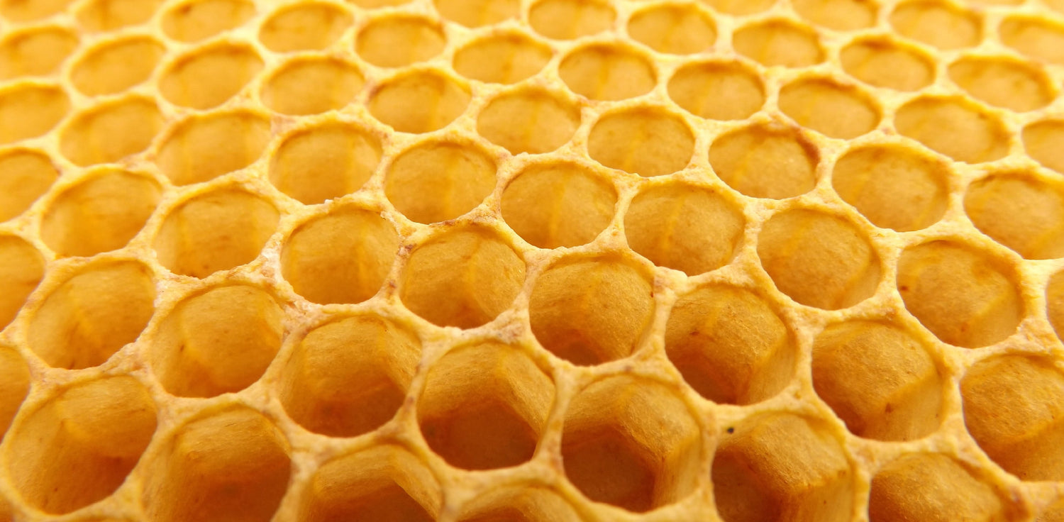 Beeswax - A photo of beeswax, a natural wax produced by bees. The photo shows a golden-colored, waxy substance with a smooth and opaque texture. Beeswax is typically formed into small, irregularly shaped pellets or blocks. 