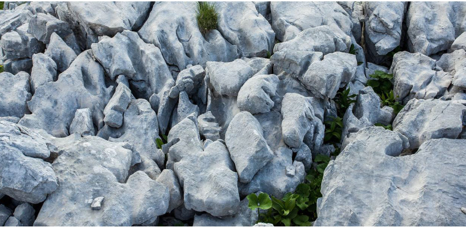 Cambrian white clay - A photo of a cosmetic-grade clay that is sourced from the Cambrian region of Europe. This natural and fine white clay is rich in minerals such as silica, magnesium, and calcium, and is commonly used in skincare products for its cleansing and nourishing properties. Cambrian white clay has a silky smooth texture and can help to unclog pores, absorb excess oil, and promote a more radiant-looking complexion.