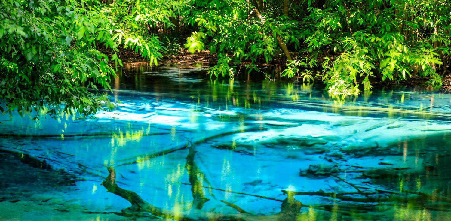 Mineral spring - A photo of a natural spring that contains mineral-rich water. The photo shows a clear, flowing water source with a picturesque landscape in the background. The water appears to have a slightly cloudy or milky appearance, indicating the presence of dissolved minerals. Mineral springs are natural sources of water that contain a high concentration of minerals, such as calcium, magnesium, sulfur, and iron.