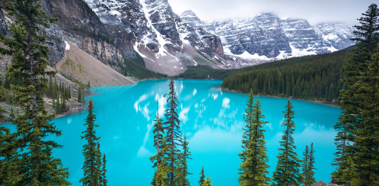 Canadian glacial clay - A photo of a natural clay that is sourced from the glacial waters of Canada. This fine-grained greyish-green clay is rich in minerals such as calcium, magnesium, and potassium, and is commonly used in skincare products for its purifying and revitalizing properties. Canadian glacial clay has a smooth texture and can help to detoxify the skin, absorb impurities, and promote a more even complexion.